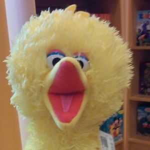 Meet your Posher, Dj